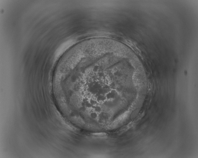 X0000087380053200705181252