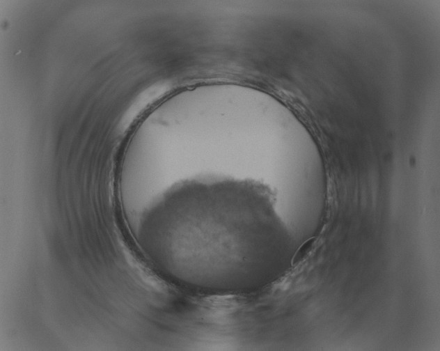 X0000087380054200705181252