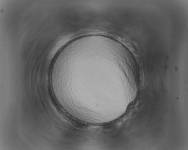 X0000087380055200705181252