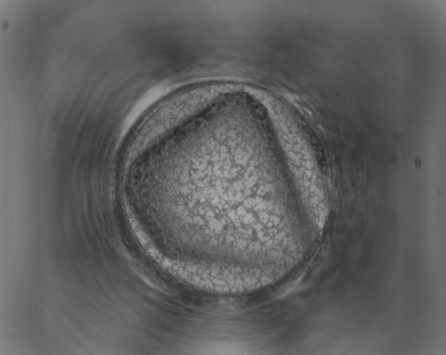 X0000087380056200705181252