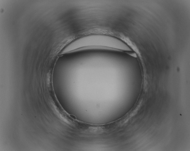 X0000087380057200705181252