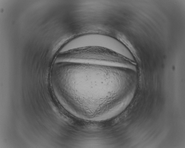 X0000087380058200705181252