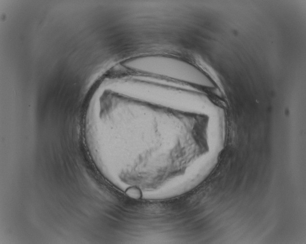 X0000087380059200705181252