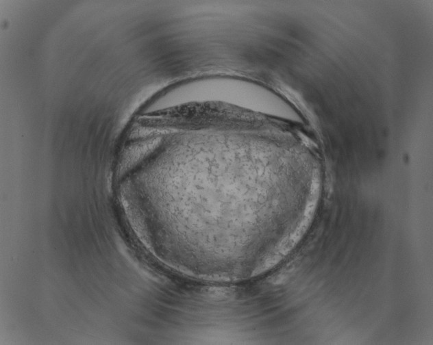 X0000087380060200705181252