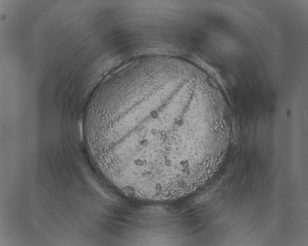 X0000087380061200705181252