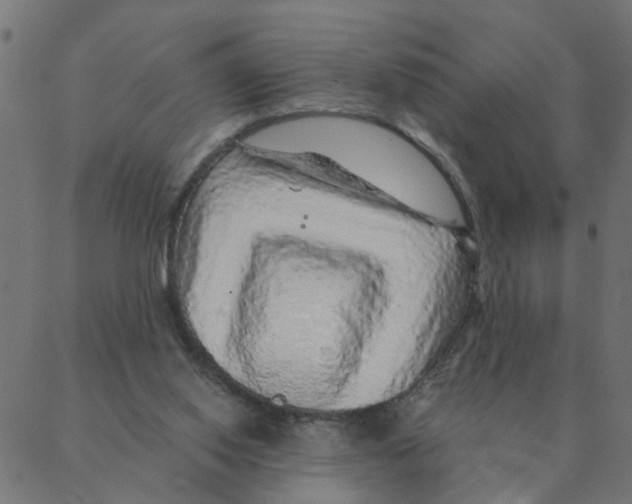 X0000087380062200705181252