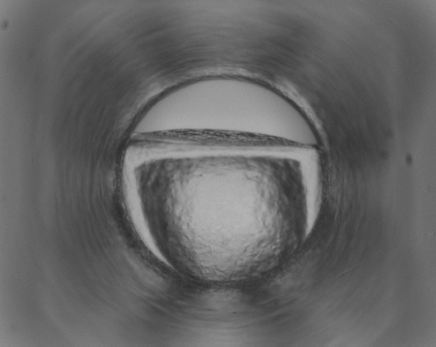 X0000087380063200705181252