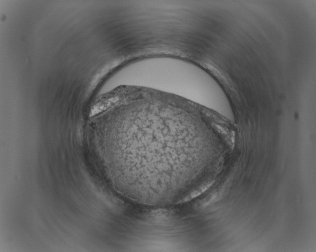 X0000087380064200705181252