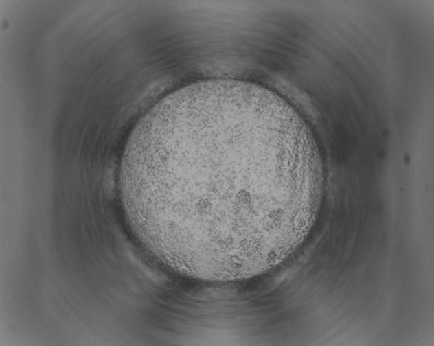 X0000087380065200705181252