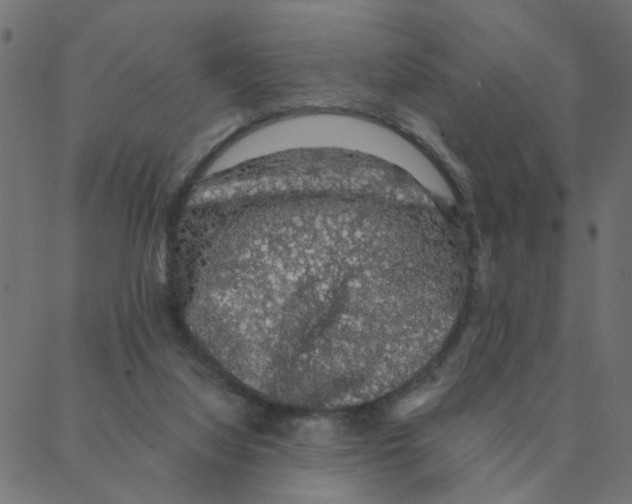 X0000087380068200705181252