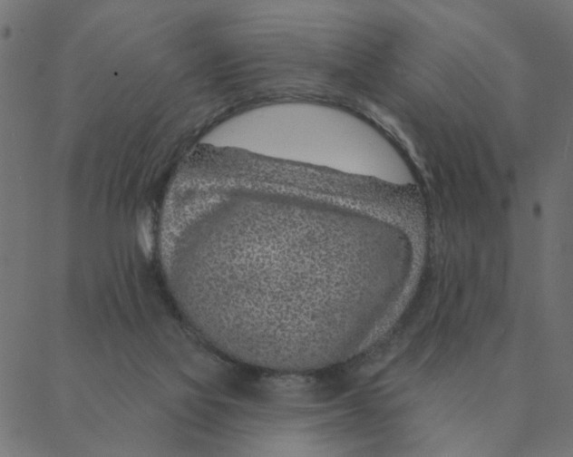 X0000087380069200705181253