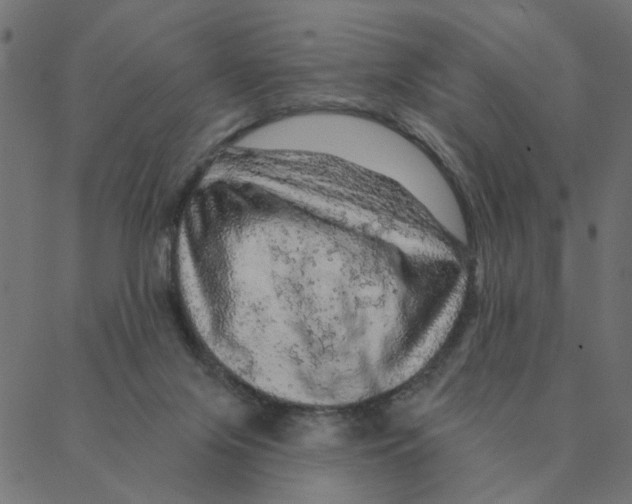 X0000087380071200705181253