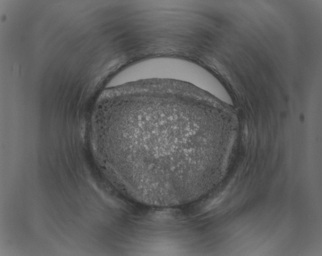 X0000087380072200705181253