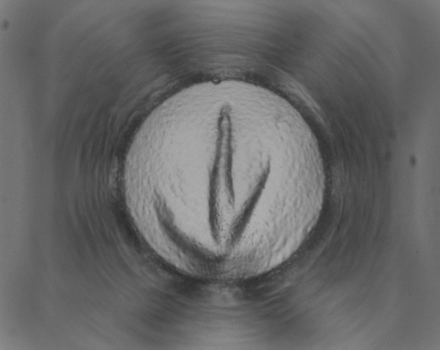 X0000087380073200705181253