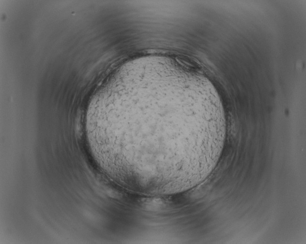 X0000087380074200705181253