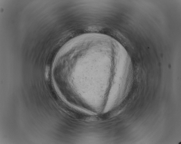 X0000087380075200705181253