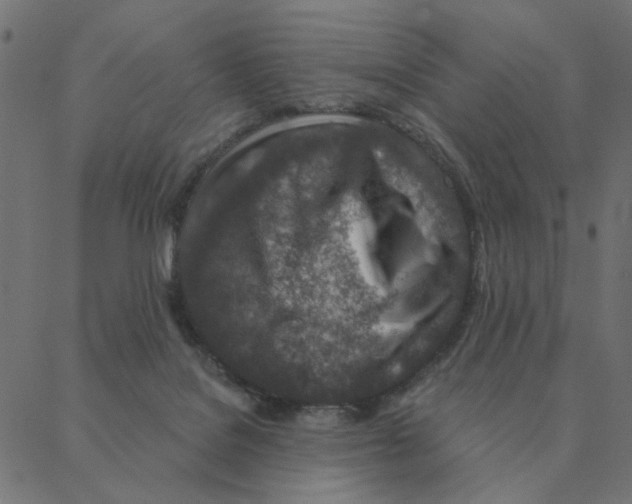 X0000087380076200705181253