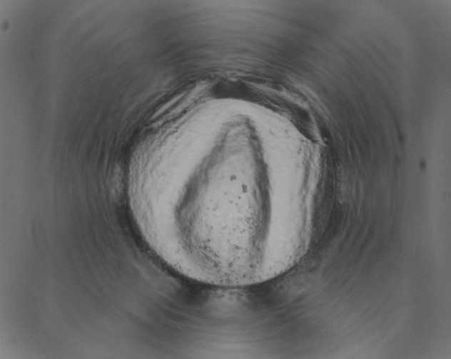 X0000087380077200705181253