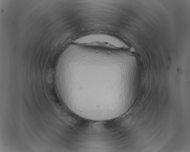 X0000087380078200705181253