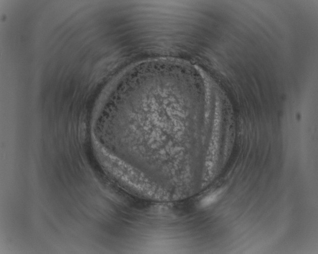 X0000087380080200705181253