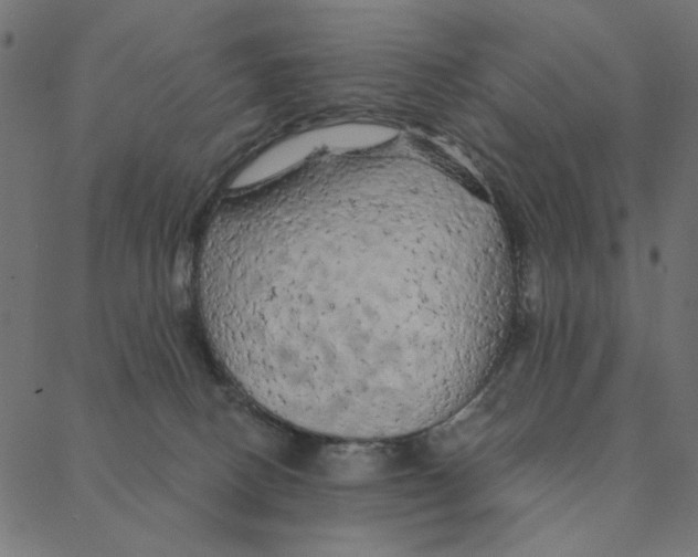 X0000087380082200705181253