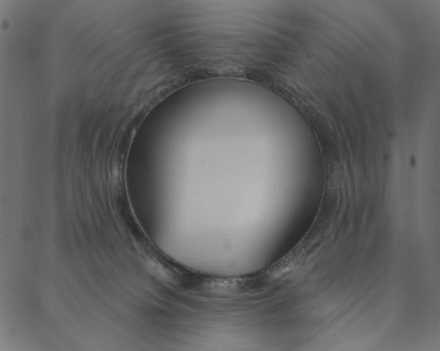 X0000087380084200705181253