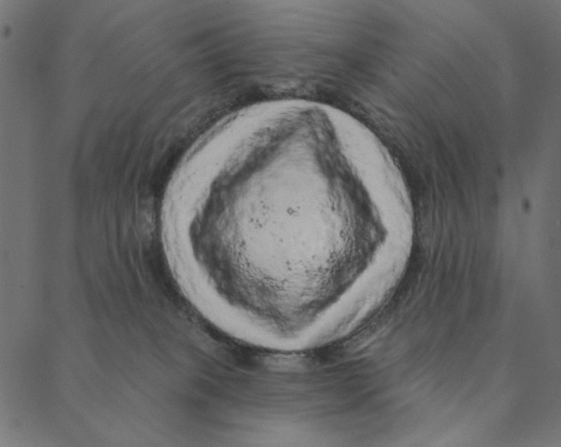 X0000087380085200705181253