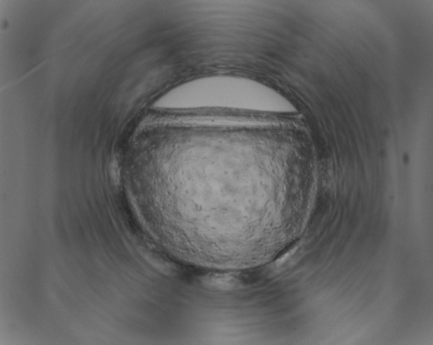 X0000087380086200705181253