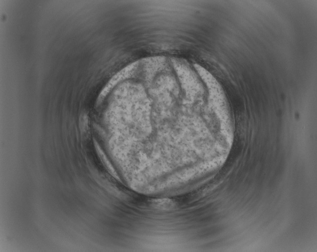 X0000087380087200705181253