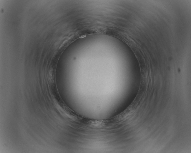 X0000087380088200705181253