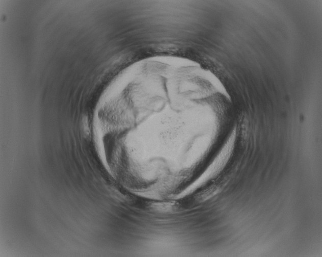 X0000087380089200705181253