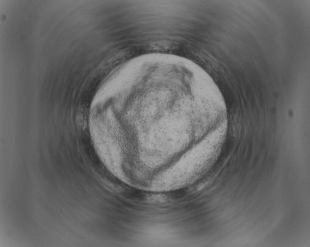 X0000087380091200705181253