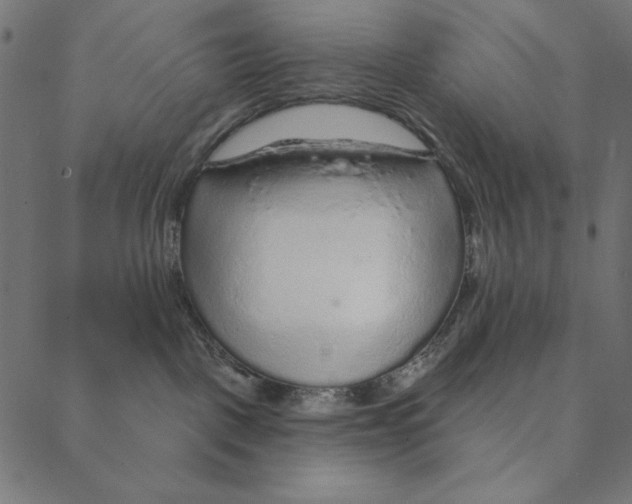 X0000087380093200705181253