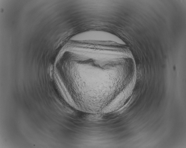 X0000087380094200705181253