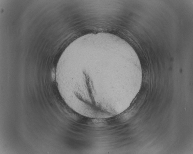 X0000087380095200705181253