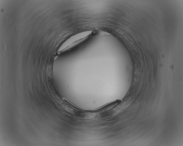 X0000087380096200705181253