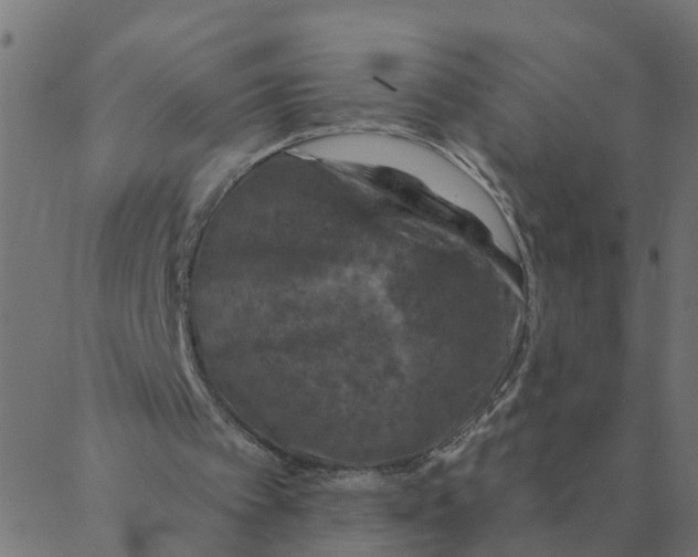 X0000087380097200705181252