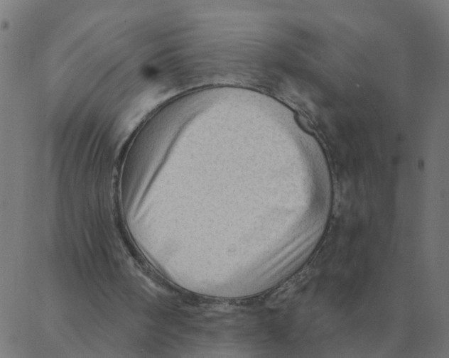 X0000087380098200705181252