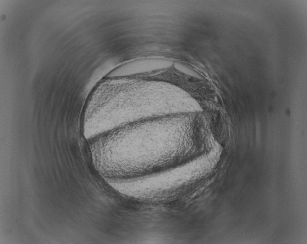 X0000087380099200705181252