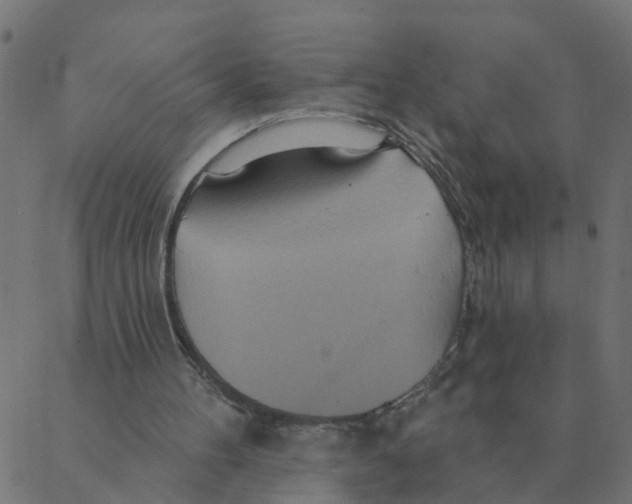 X0000087380100200705181252