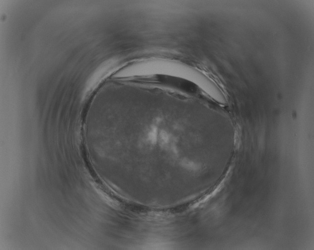 X0000087380101200705181252