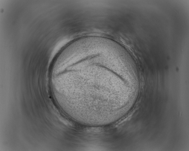 X0000087380102200705181252