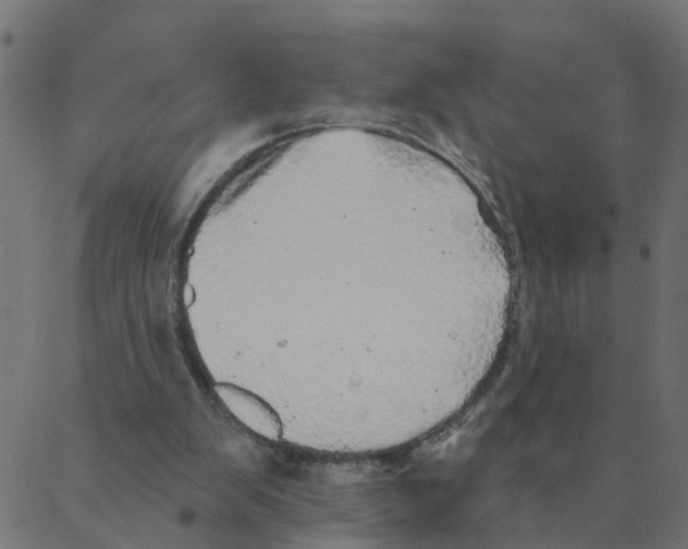 X0000087380103200705181252