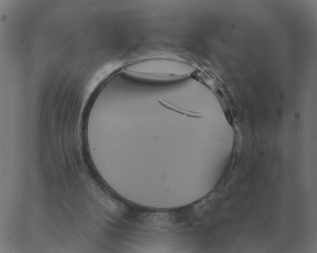 X0000087380104200705181252