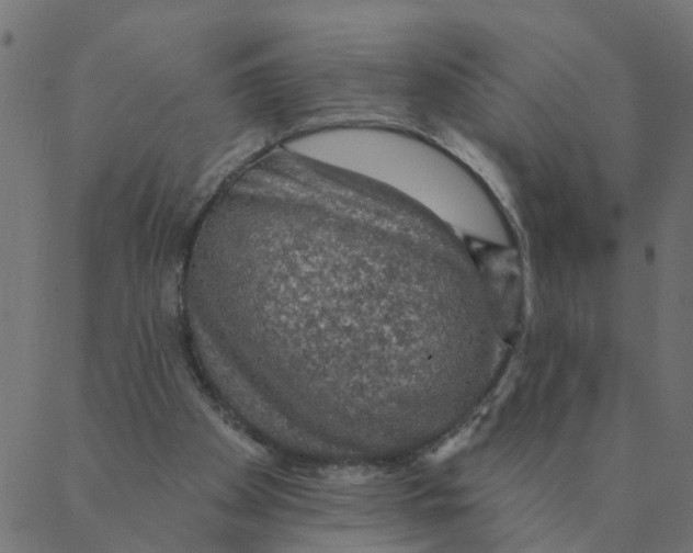 X0000087380105200705181252