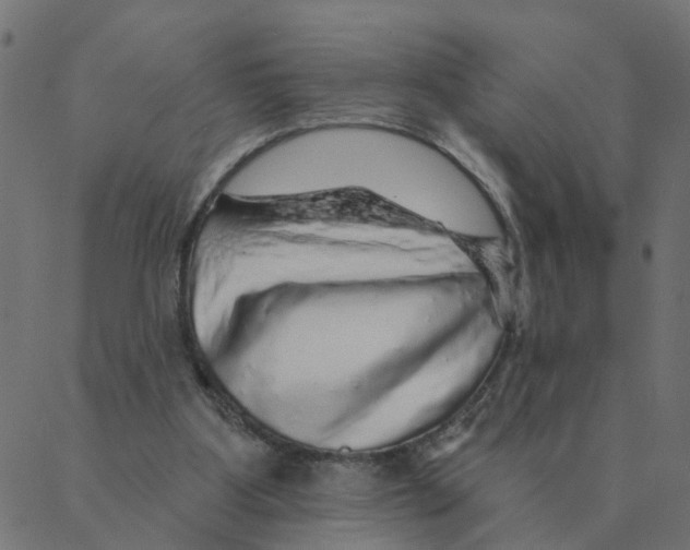 X0000087380107200705181252