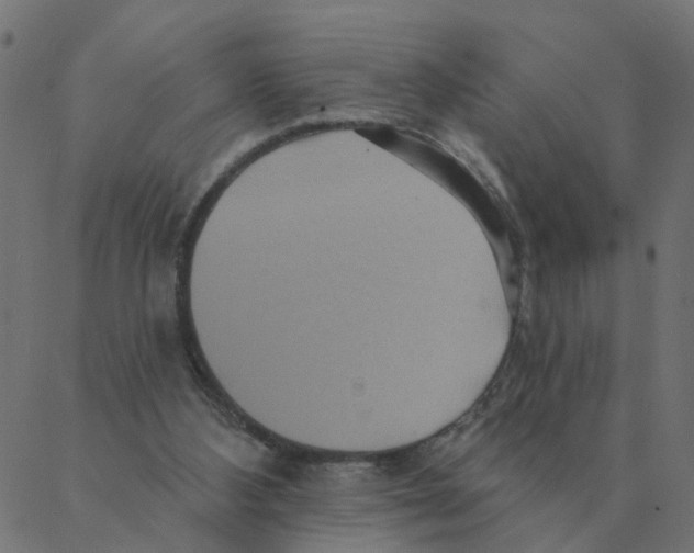 X0000087380108200705181252