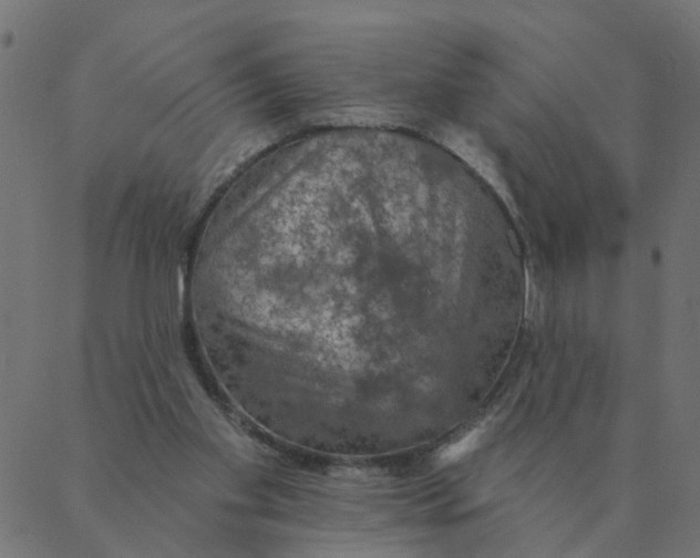 X0000087380109200705181252