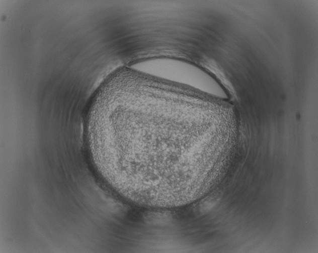 X0000087380110200705181252