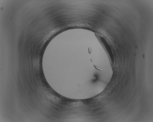 X0000087380112200705181252